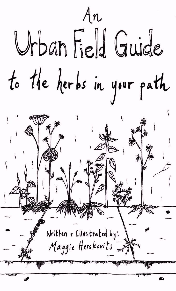 Urban Field Guide to the Herbs in Your Path (Zine)