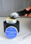 Dog Paw & Nose Salve