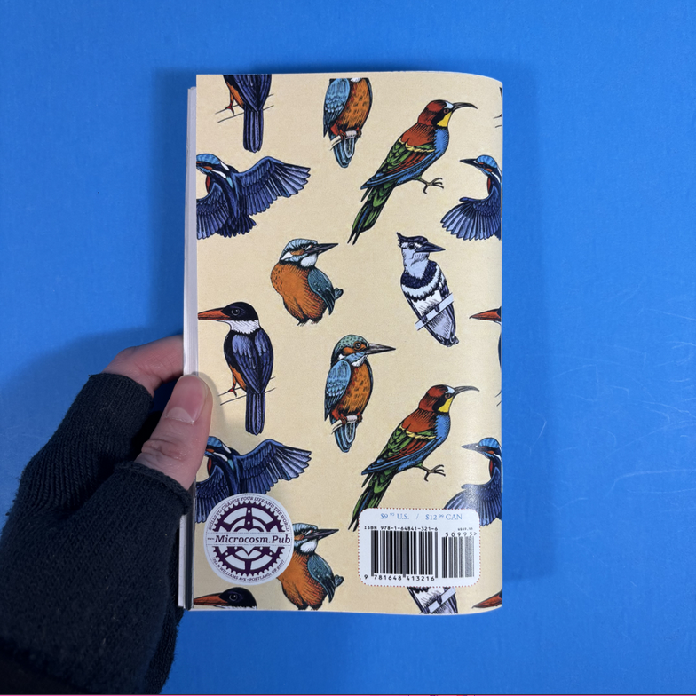 How to Attract Birds (Zine)