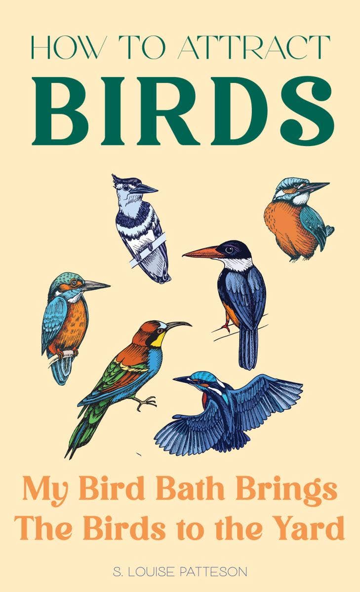 How to Attract Birds (Zine)