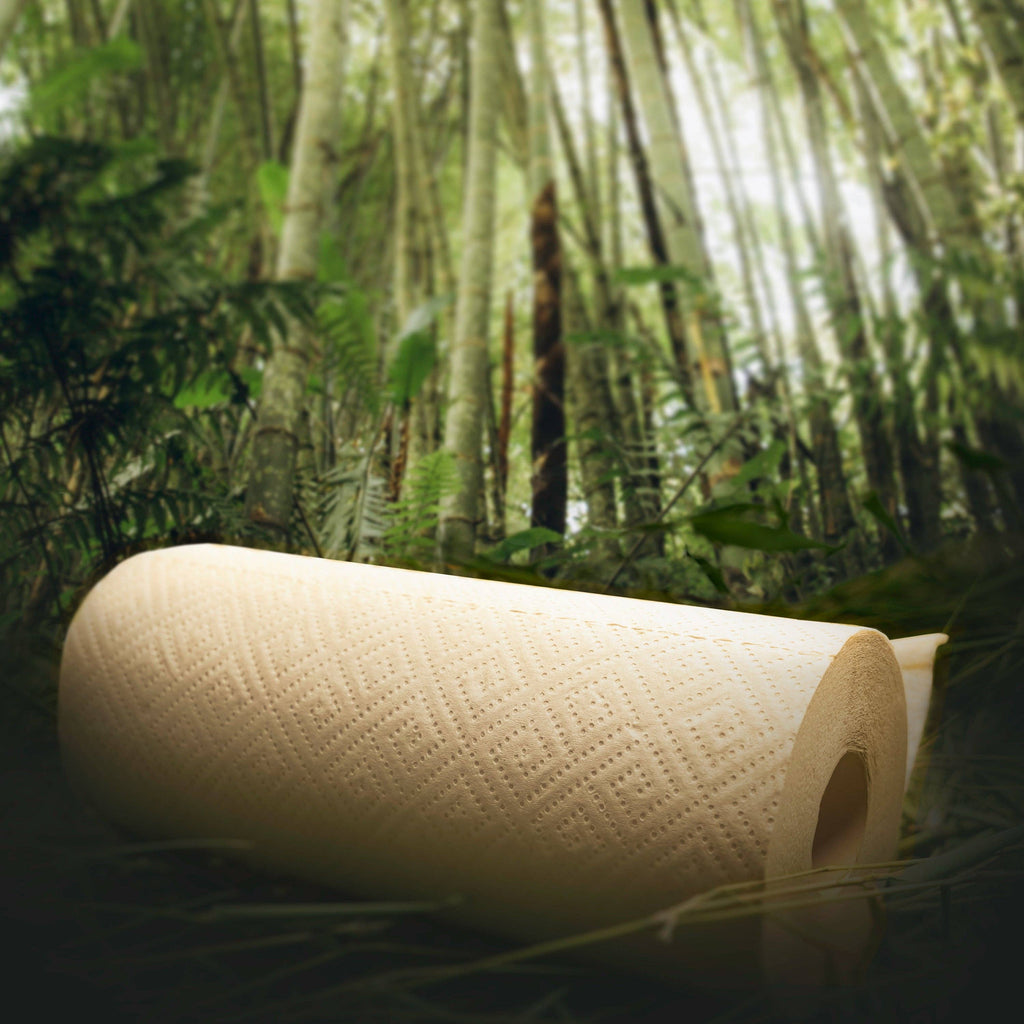 Bamboo Paper Towel