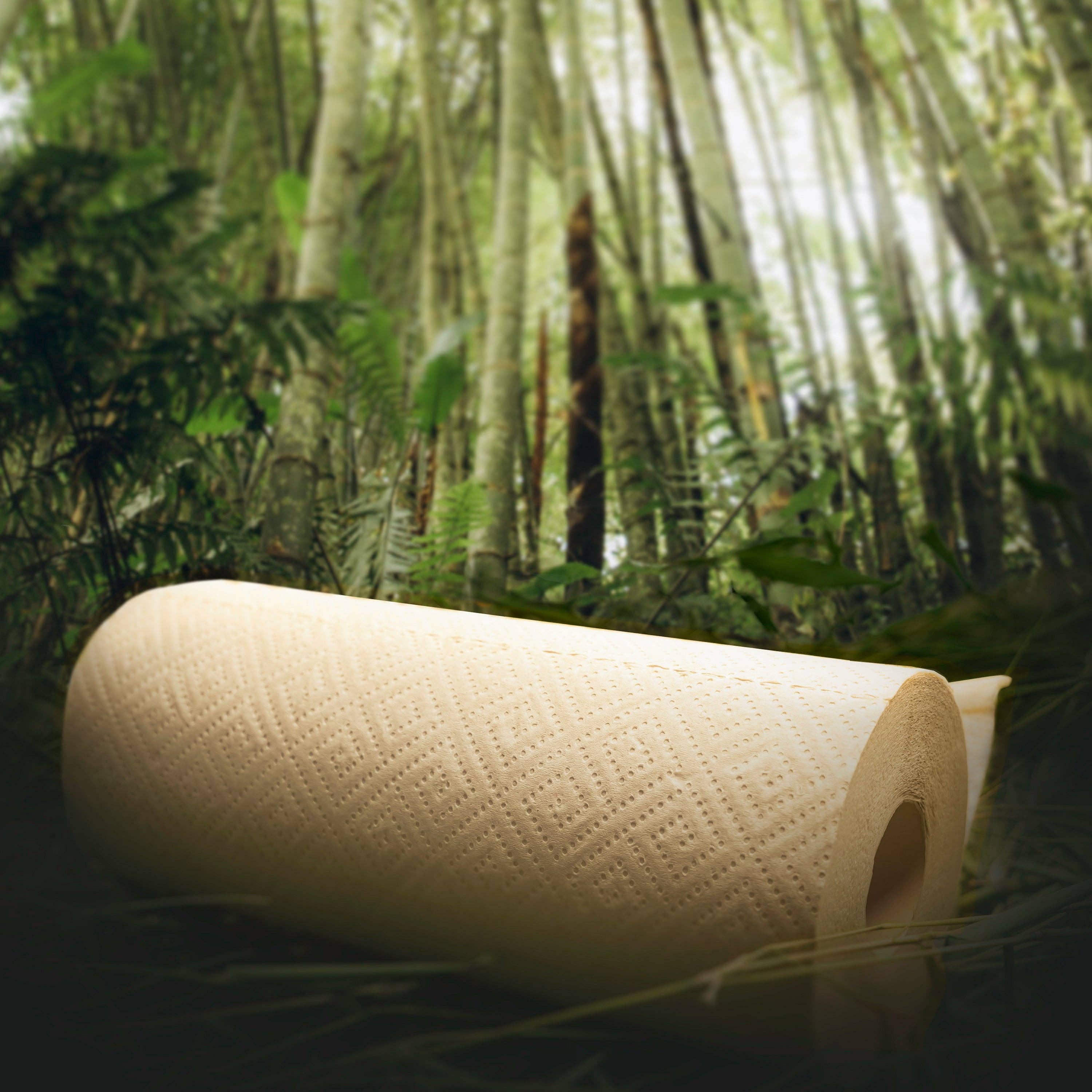 Bamboo Paper Towel