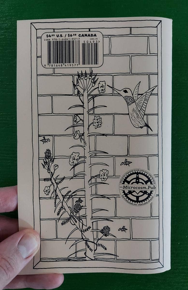 Urban Field Guide to the Herbs in Your Path (Zine)