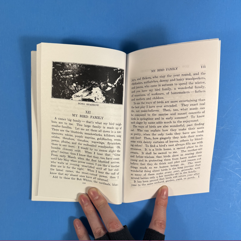 How to Attract Birds (Zine)