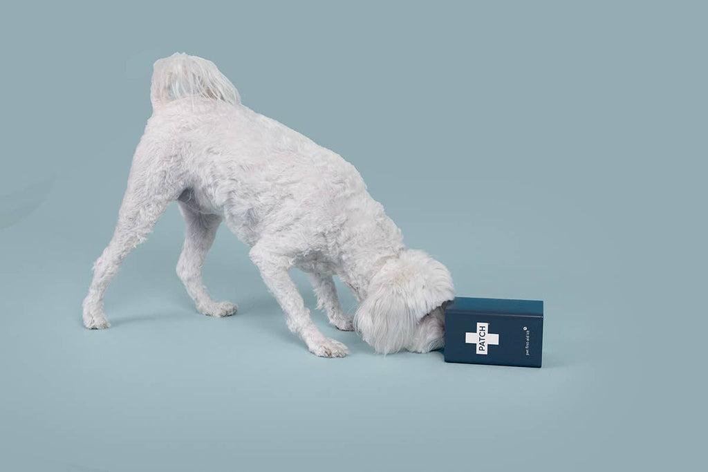 First-Aid Kit for Pets