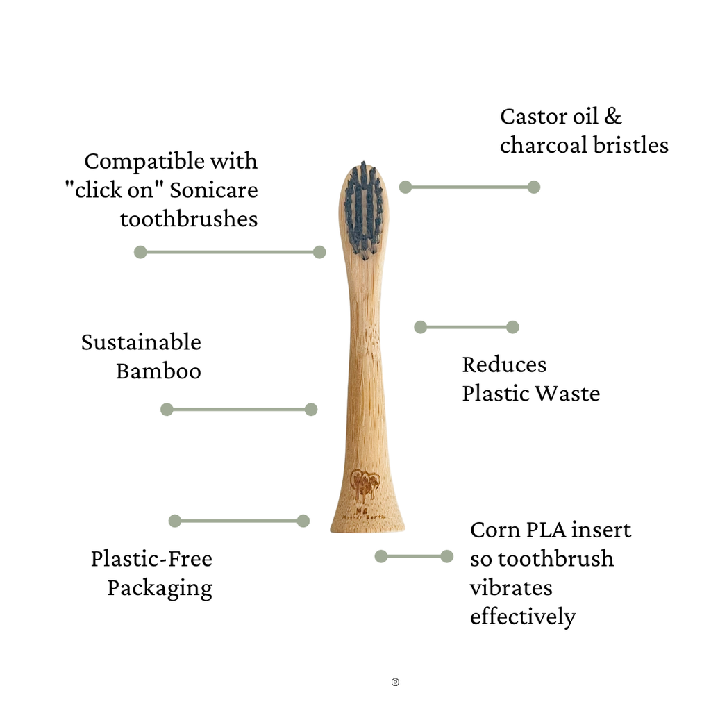 Bamboo Electric Toothbrush Heads