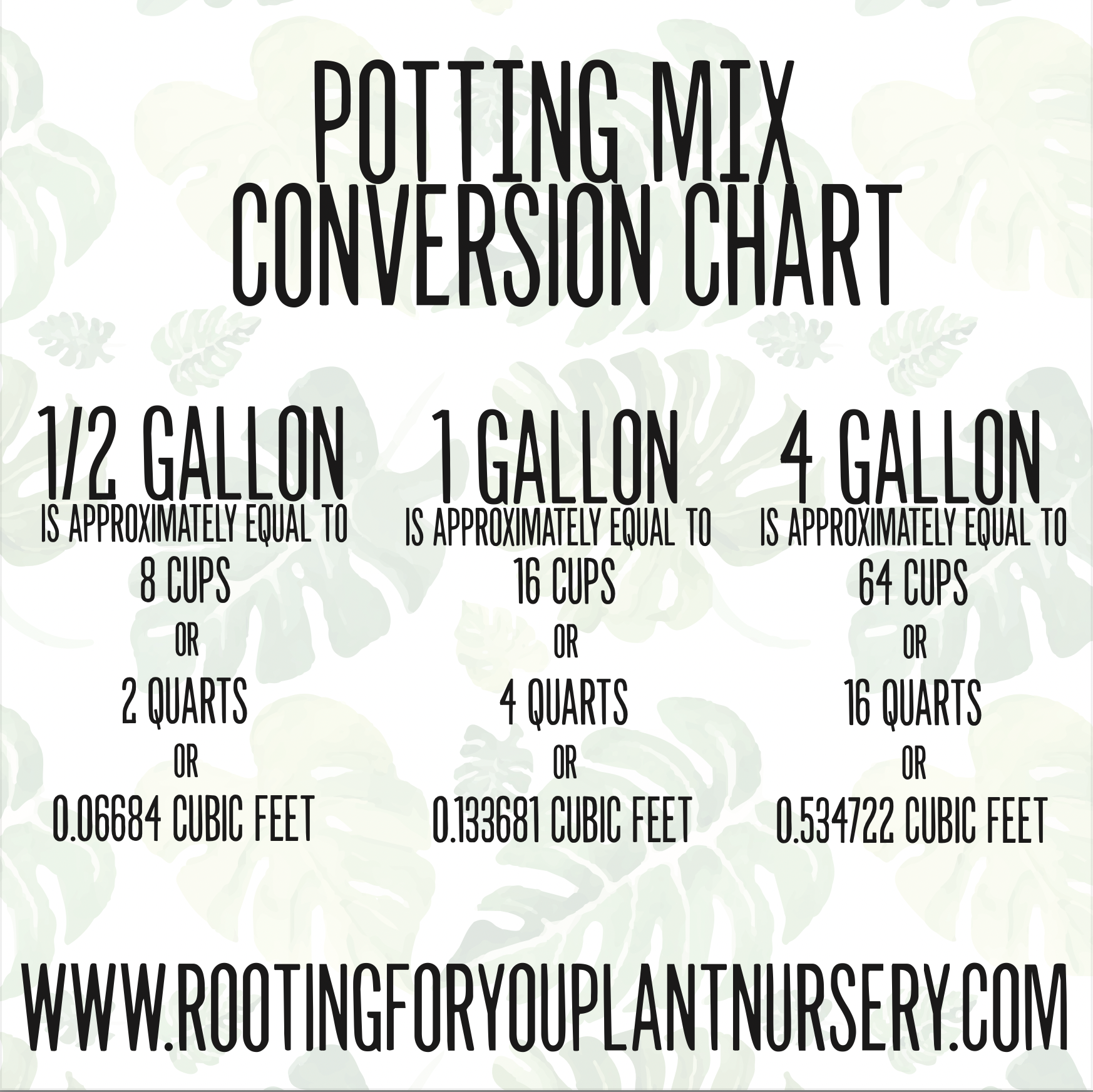 Cactus & Succulent Potting Mix