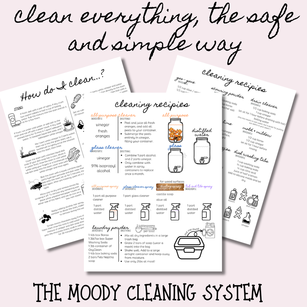 The Moody Cleaning System