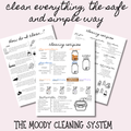 The Moody Cleaning System