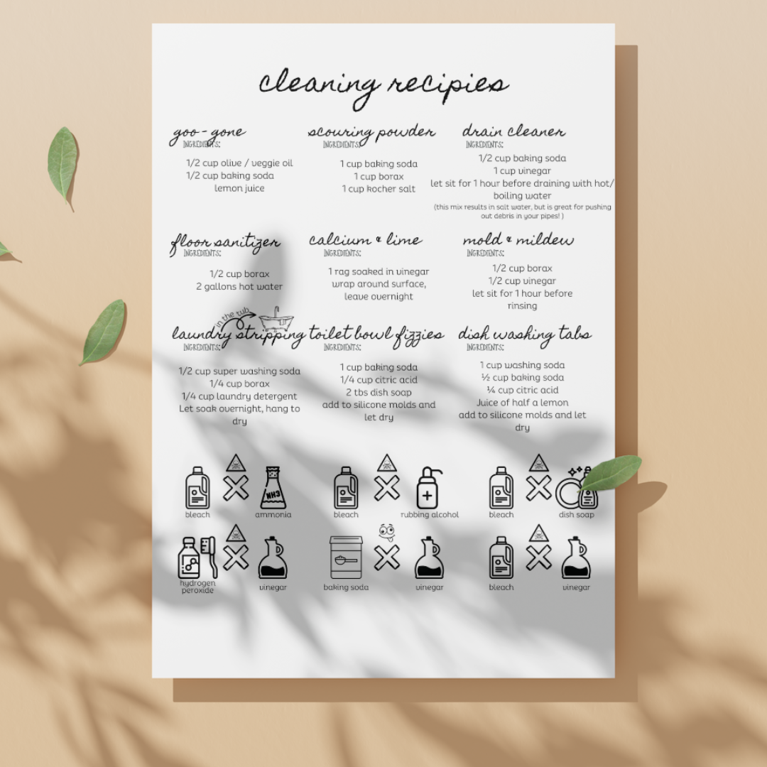 The Moody Cleaning System