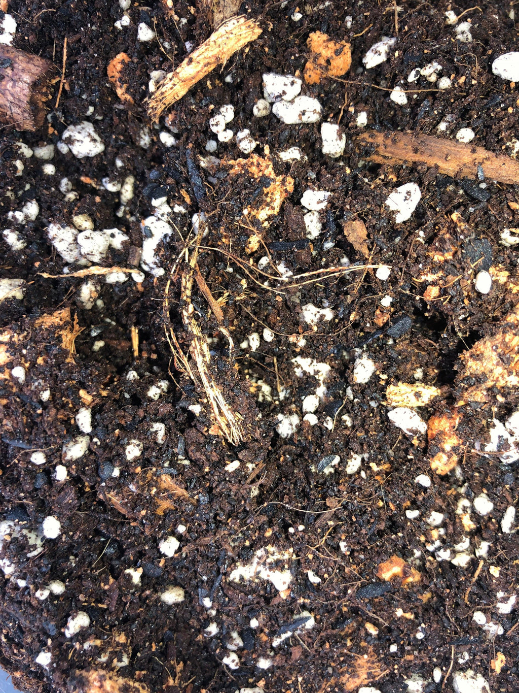 Tropical Houseplant Potting Mix