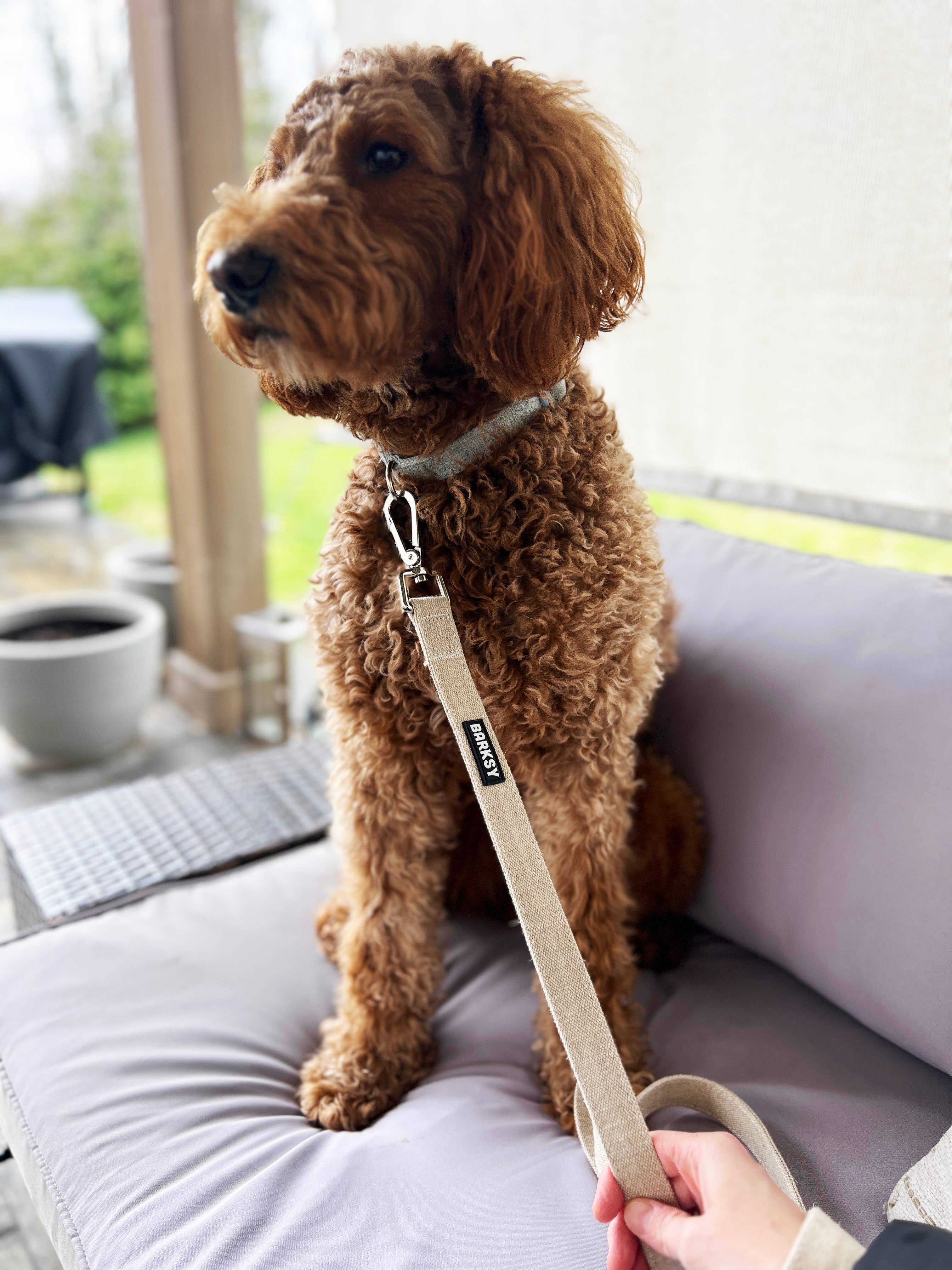 Hemp Dog Leash