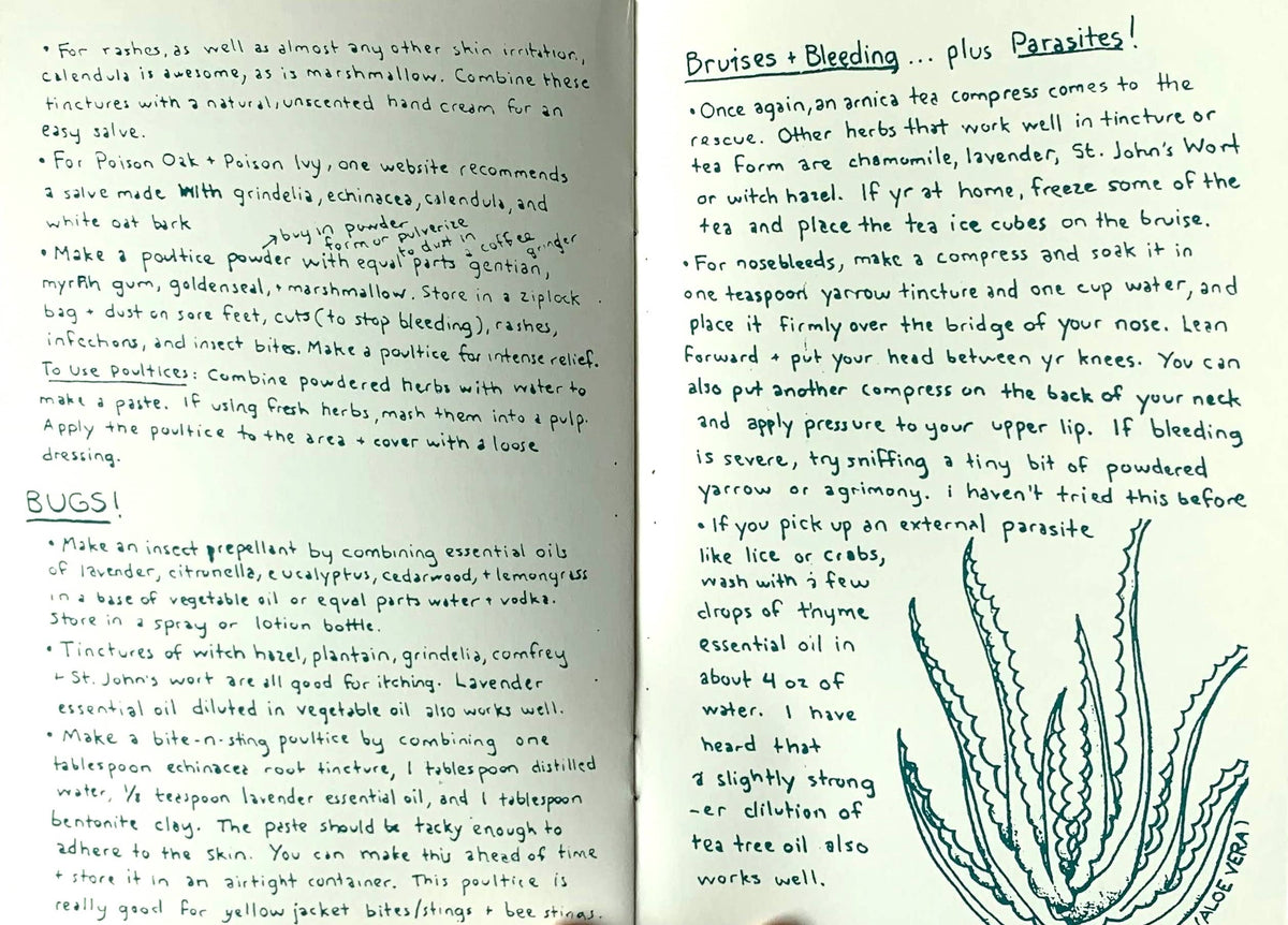 Herbal First Aid: Assembling a Natural First Aid Kit (Zine)