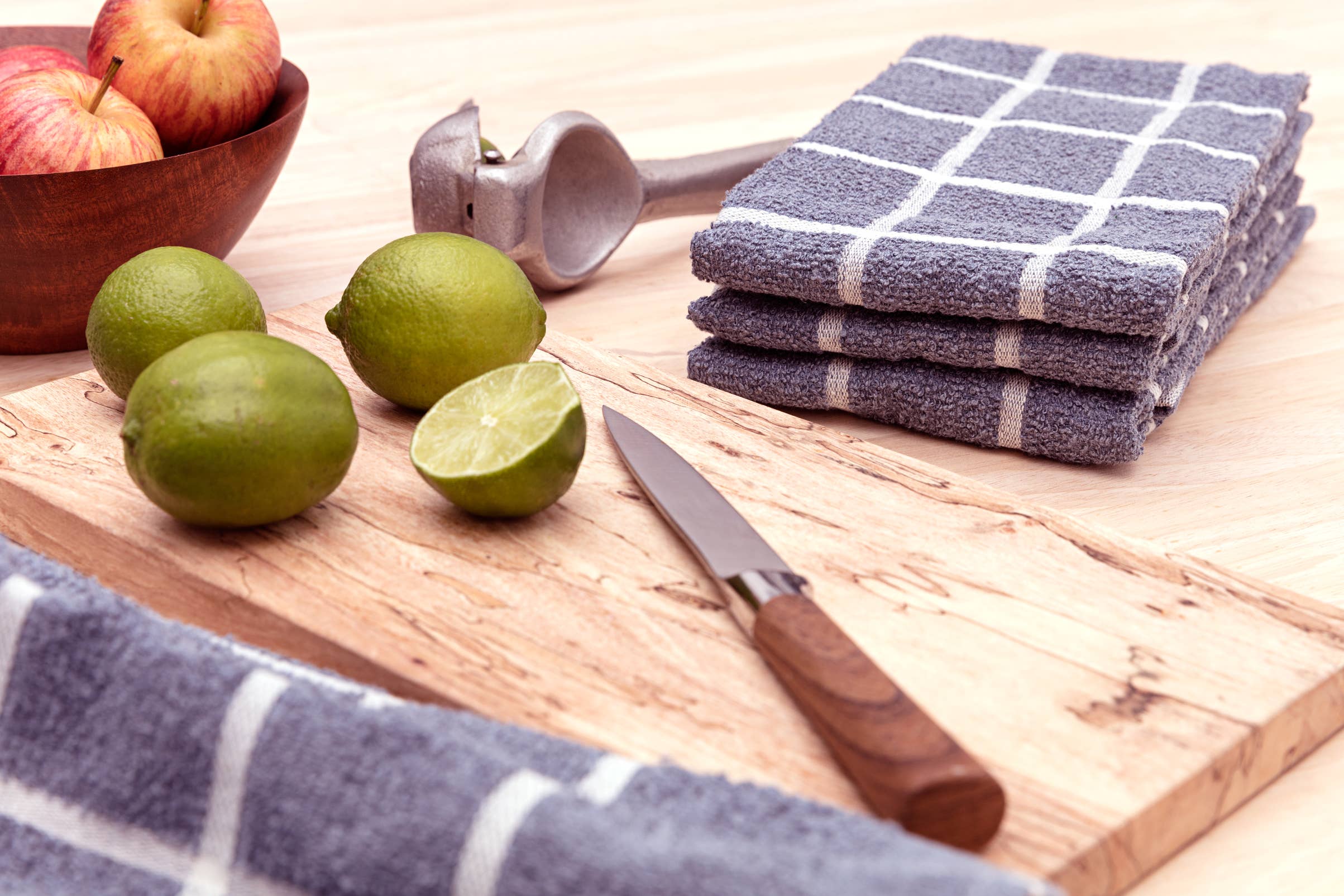 Terry Cotton Dish Towels