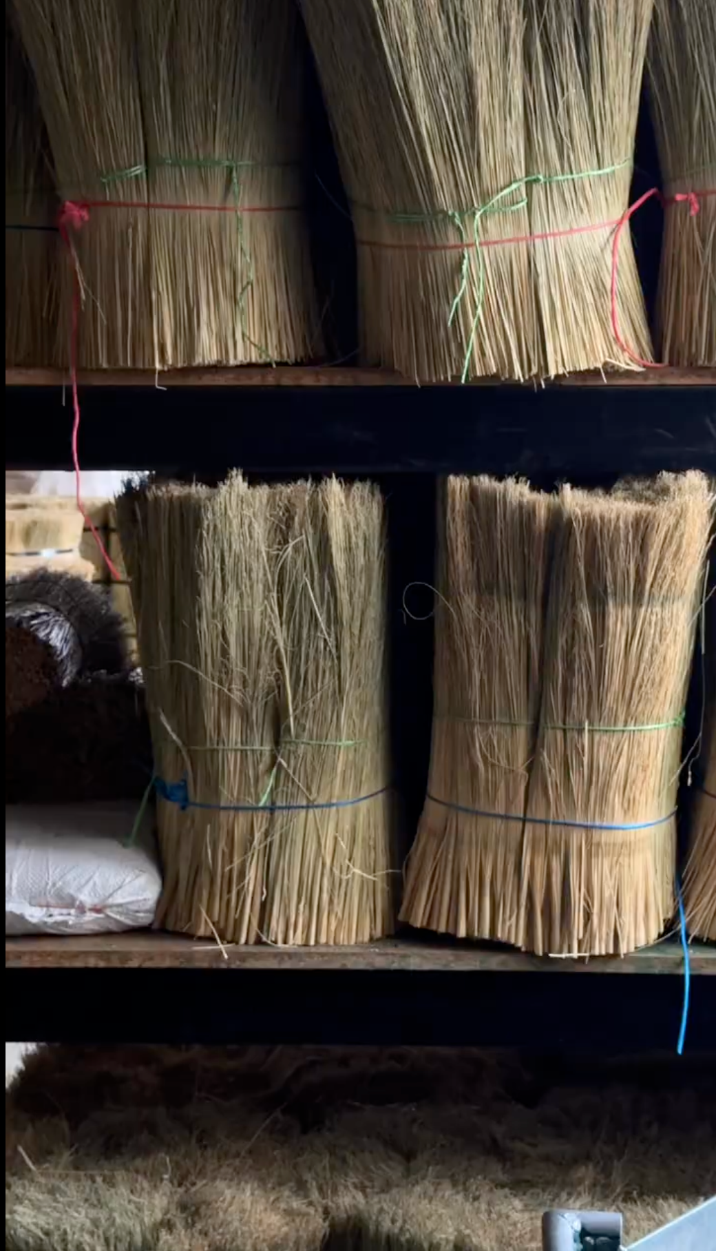 The Everyday Broom