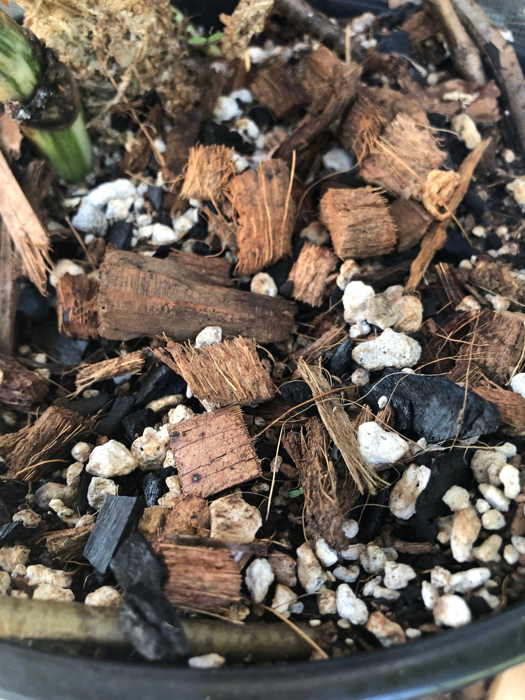 Tropical Houseplant Potting Mix