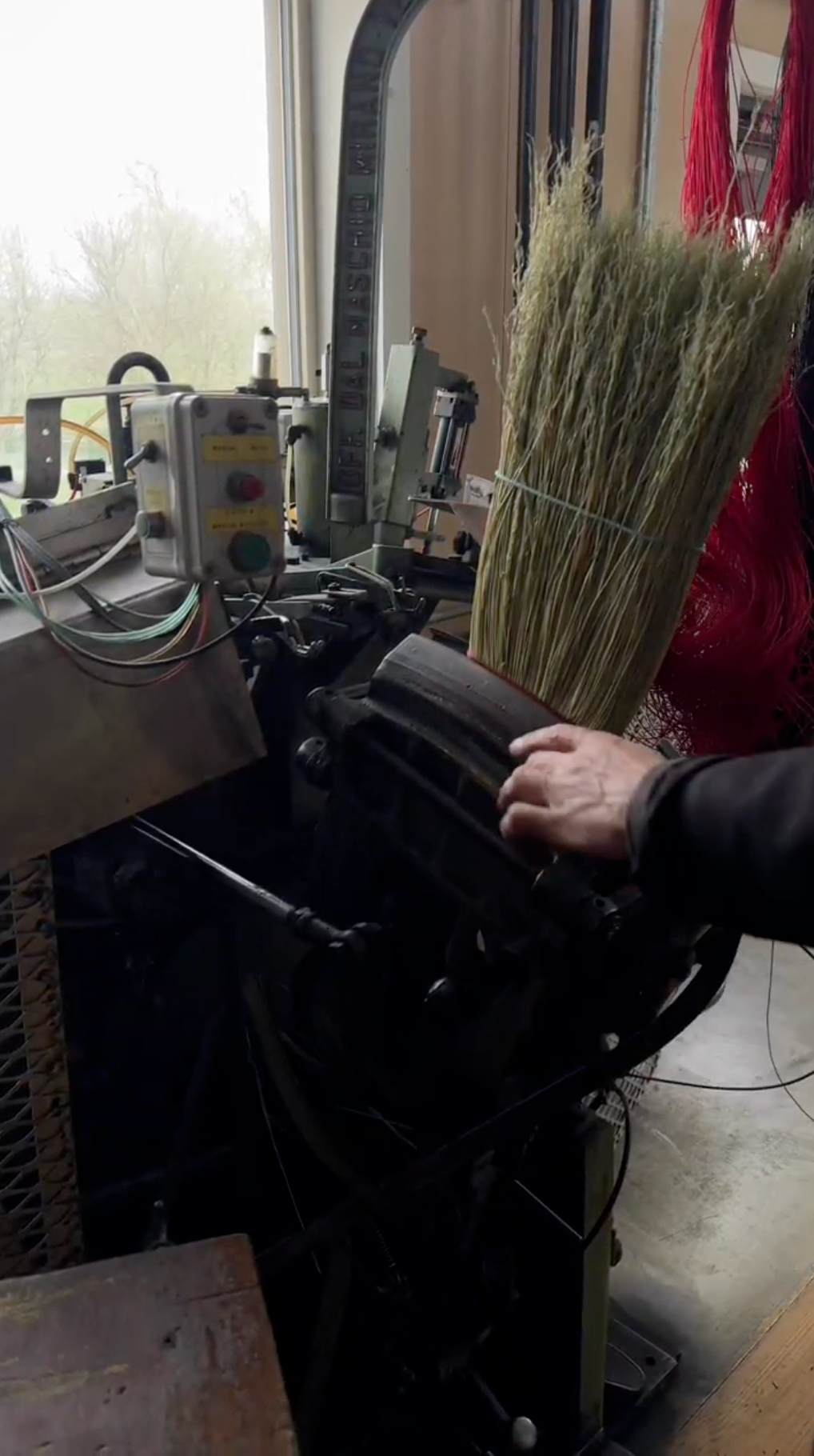 The Everyday Broom
